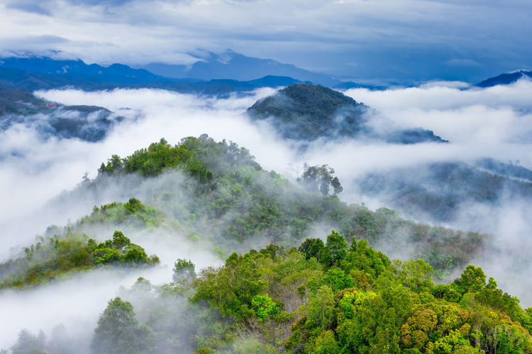 Sea of mist and beautiful sky at gunungsilipat scenic point, ai yoeweng sub-district, betong area,