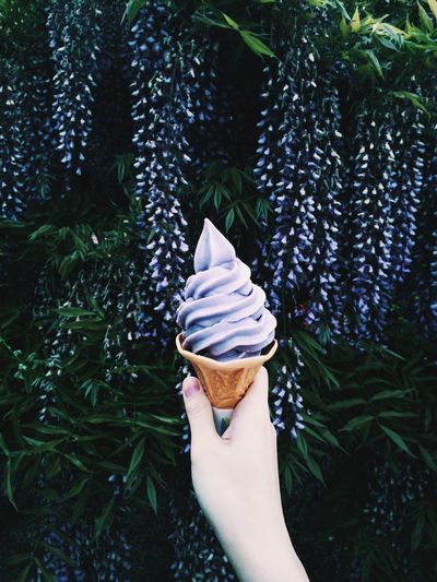 Cropped image of hand holding purple ice cream against flowers