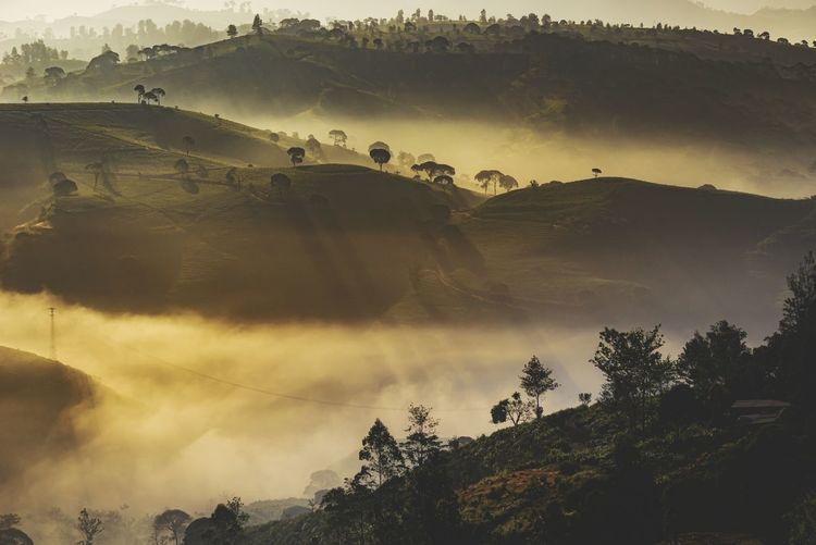 Scenic view of tree mountains against sky