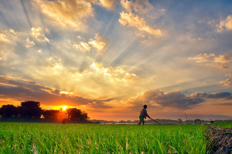 Man walking on grassy land against sky during sunset