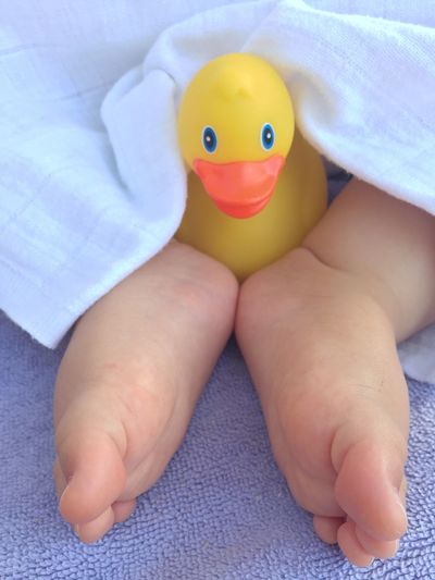 Low section of baby with rubber duck