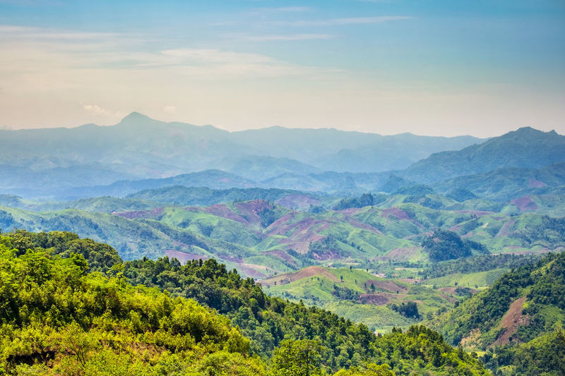Lush green rural landscape, vientiane province, laos