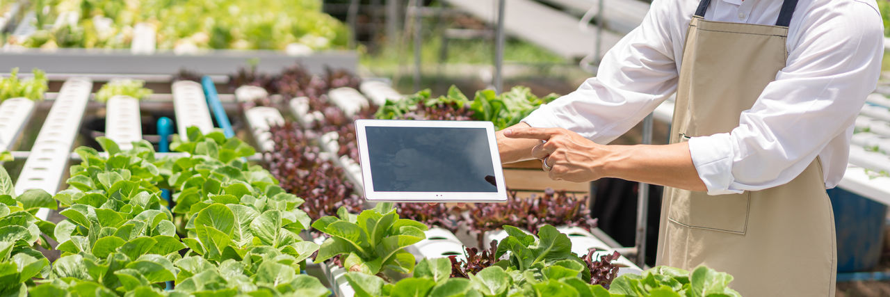 Midsection of man using digital tablet