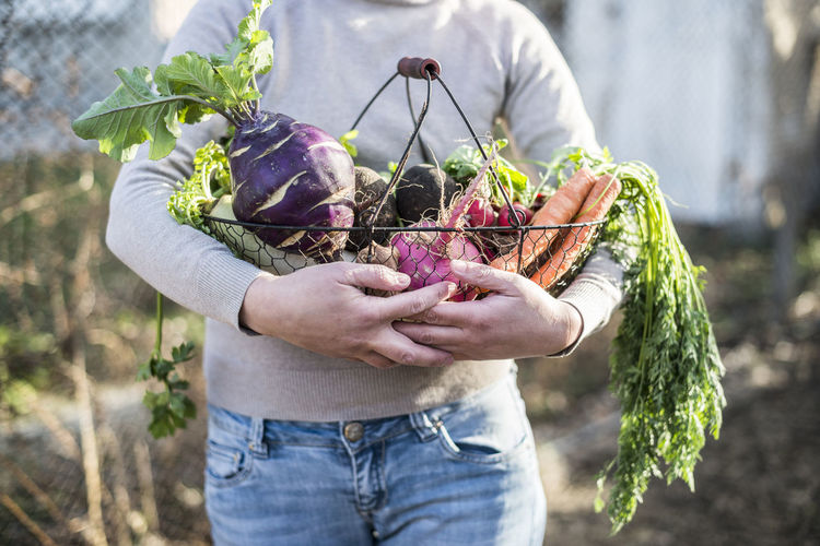 Partial view of woman holding wire basket with root vegetables