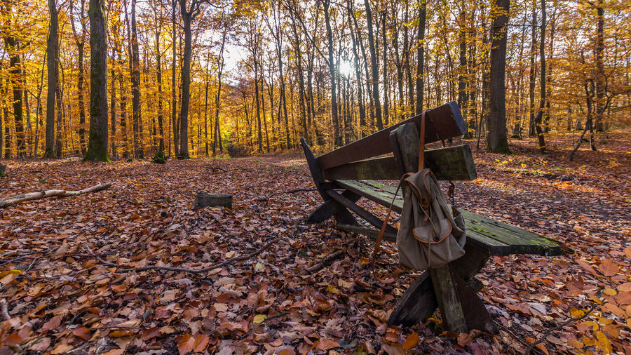 Bench on field during autumn