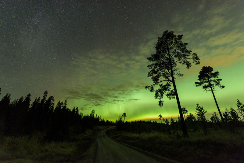 Road amidst silhouette trees on field against sky with aurora