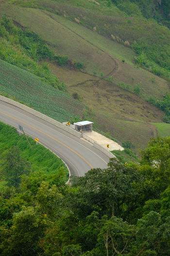 High angle view of road amidst trees