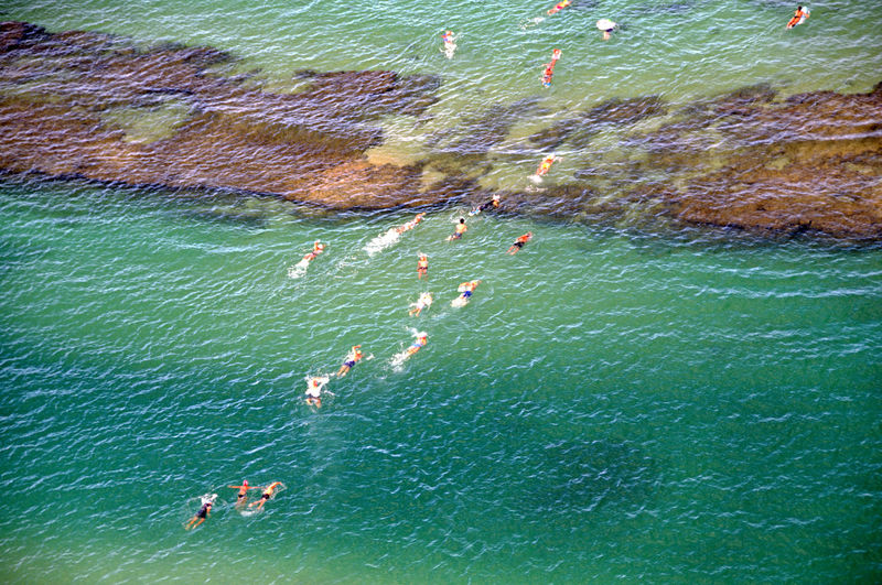 High angle view of swimmers swimming in sea