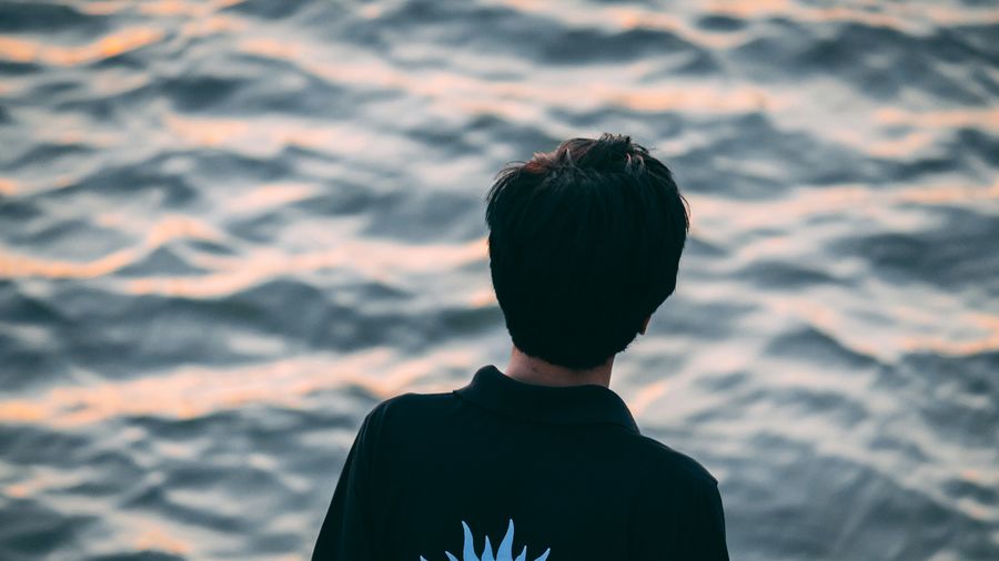 Rear view of man against sea during sunset
