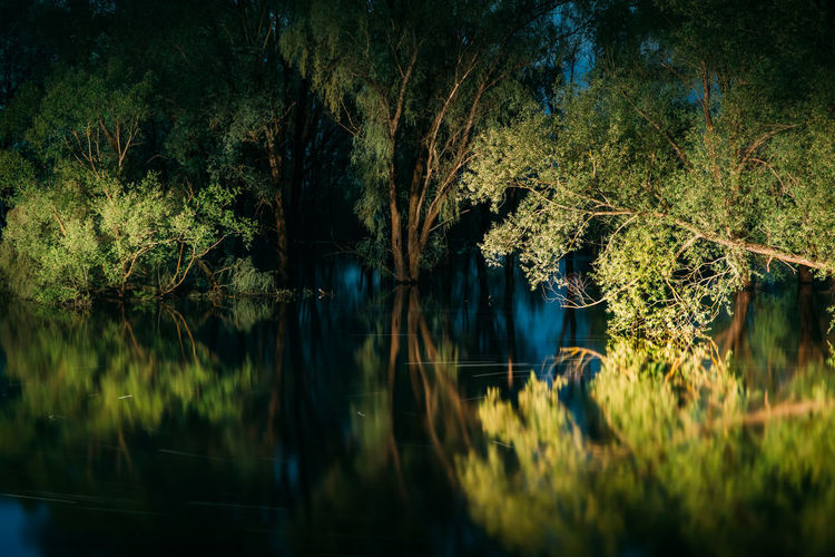Scenic view of lake