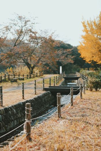 Scenic view of park during autumn