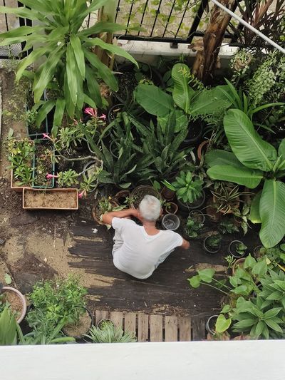 High angle view of woman sitting on potted plant