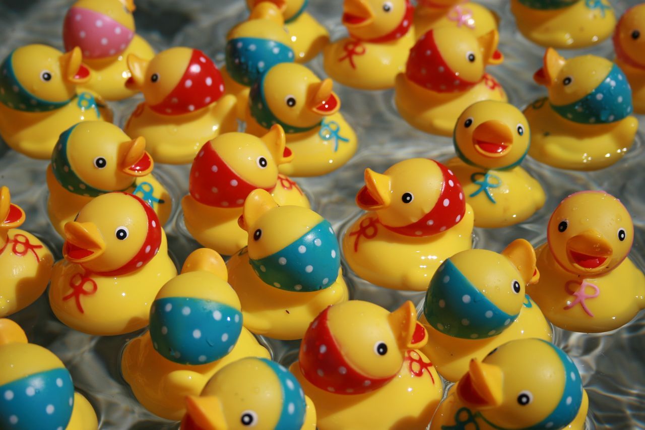 toy ducks for sale