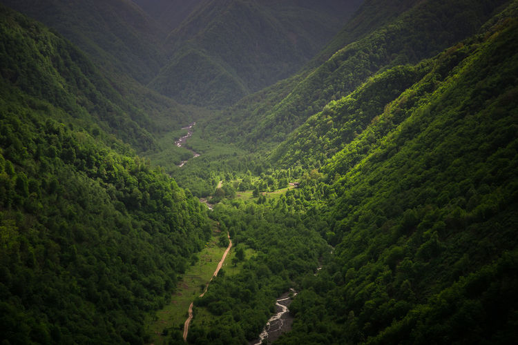 High angle view of vineyard against mountains