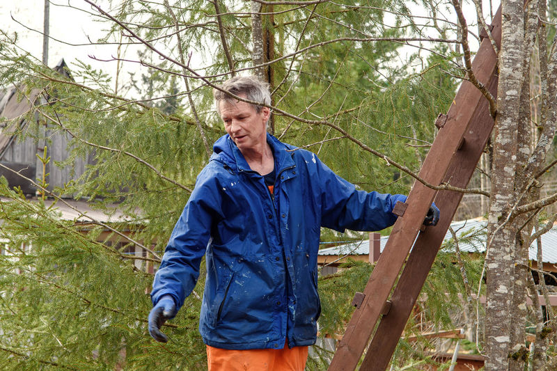 Man, tree surgeon prepares to climb the stairs
