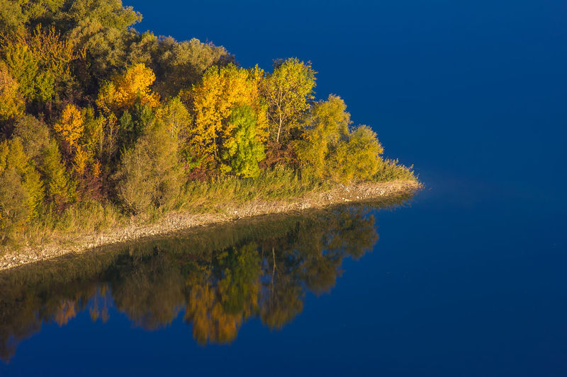Reflection of trees in lake against clear blue sky