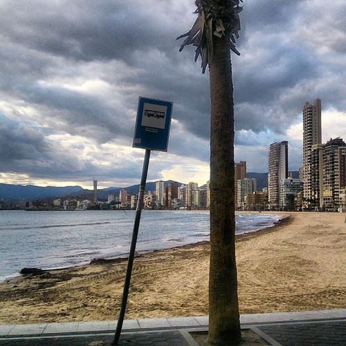 Information sign on beach by city buildings against sky