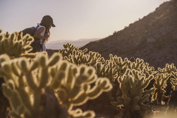 Woman walking with backpack in desert between cactus near mountains