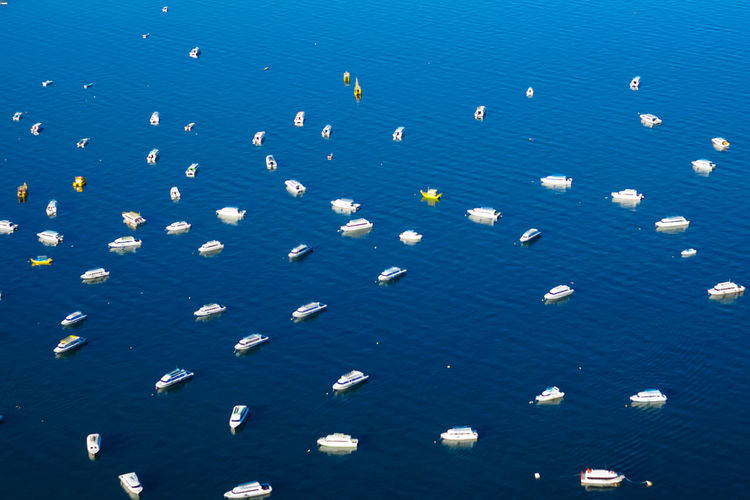 High angle view of blue floating in sea