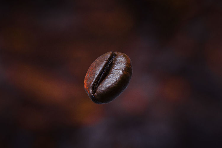 Close-up of roasted coffee bean
