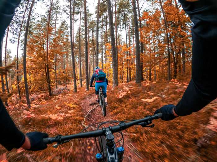 Gopro first person view following a woman mountain biking on footpath in forest in autumn.