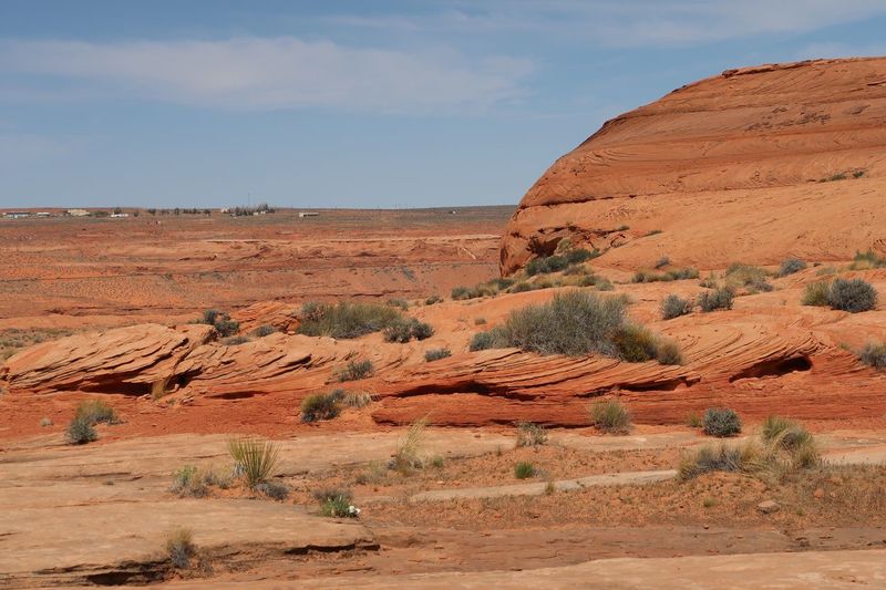 Landscape of large orange sandstone boulders and desert greenery