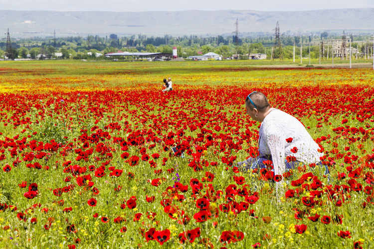 Field of poppy and yellow flowers and beautiful women, daylight and outdoor, georgian nature