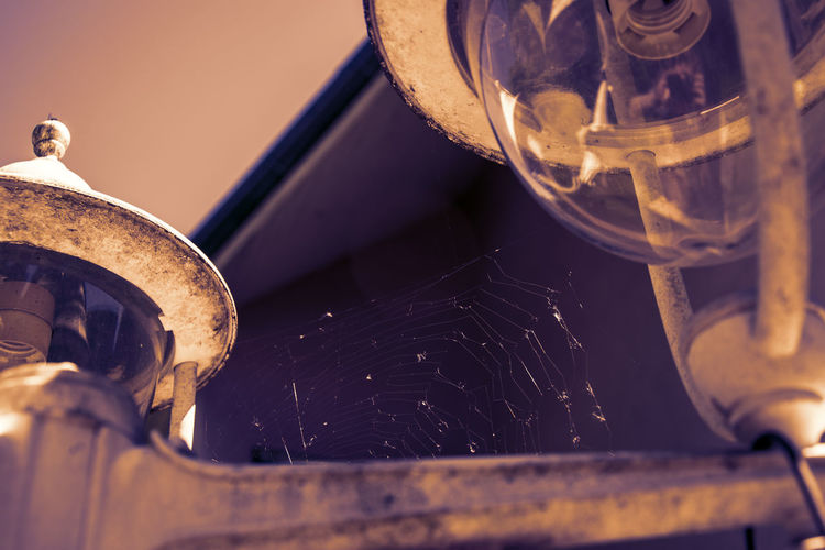 Low angle view of spider web on electric lamp