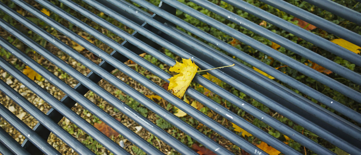 High angle view of dry leaves on metal fence