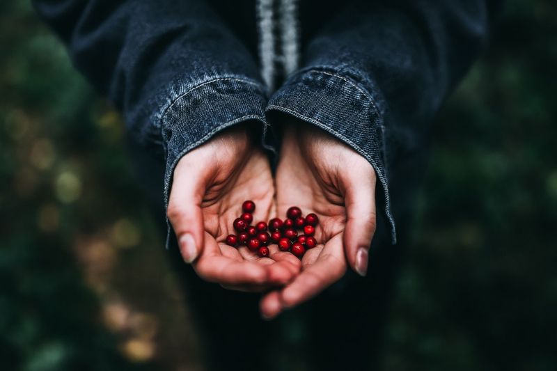 Cropped image of hands holding fruits