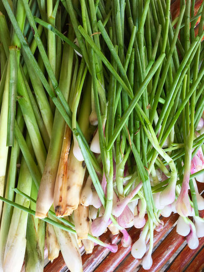 High angle view of spring onions on table