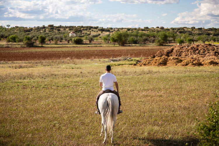 Rear view of man riding horse
