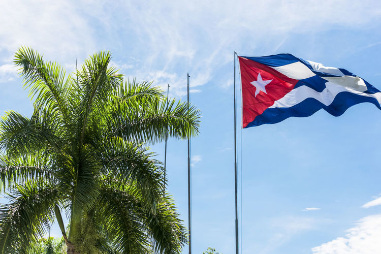 Low angle view of palm trees and cuban flag against sky