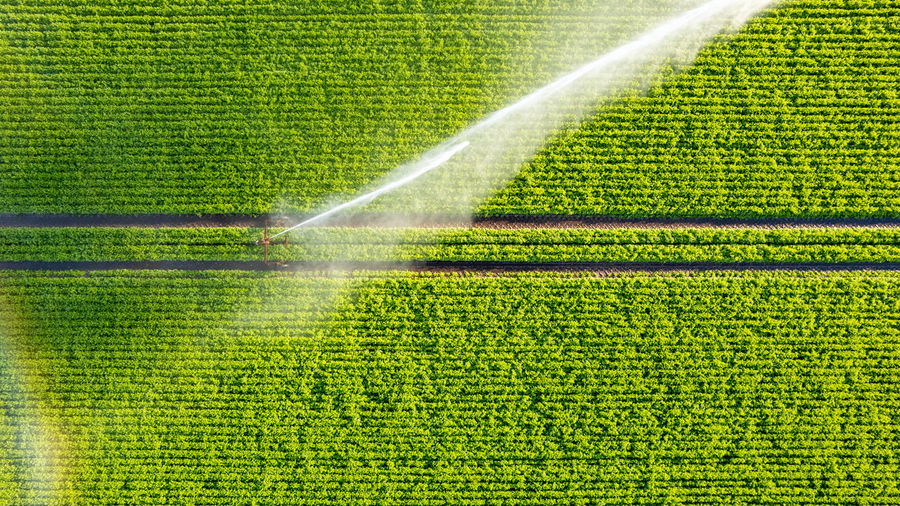 Aerial view by a drone of a farm field being irrigated by a gigantic and powerful irrigation system
