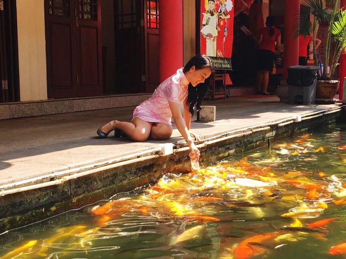 Woman feeding fishes in pond