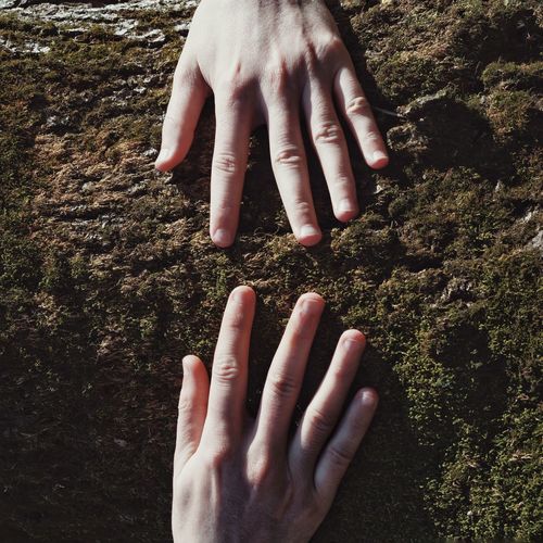 High angle view of hands on rock
