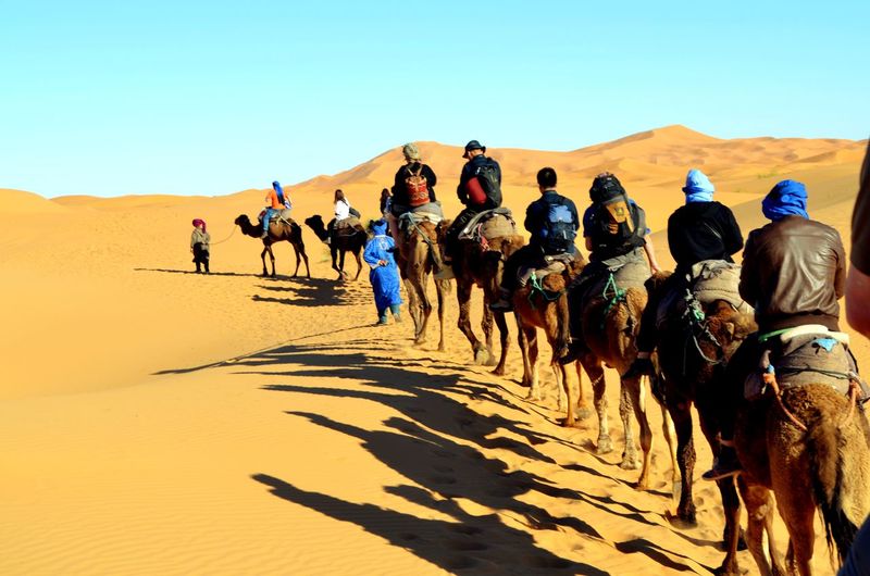 People riding camel on desert against clear sky