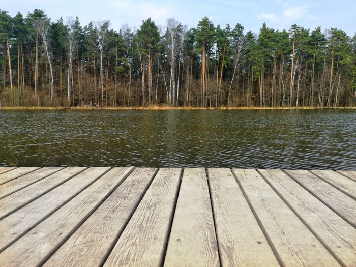 Pier over lake in forest