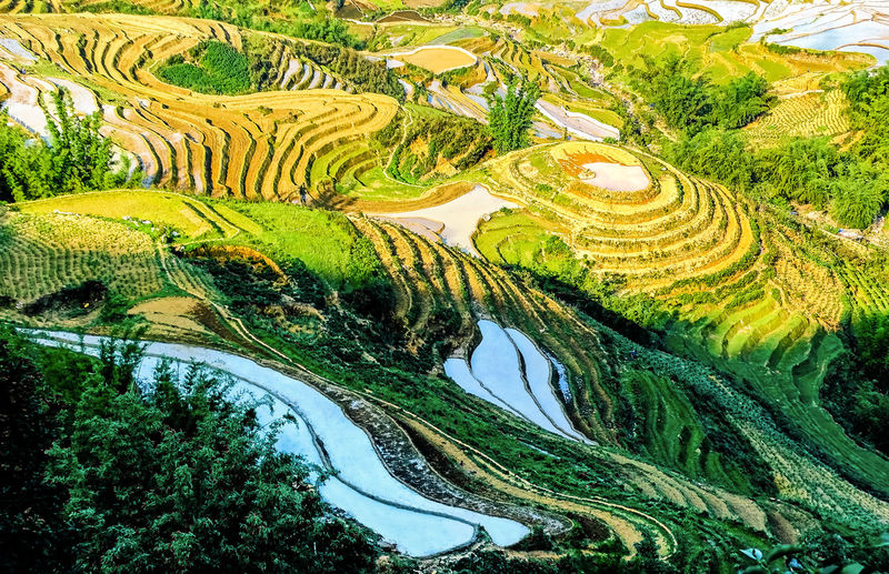 High angle view of cultivated land in asia