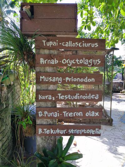 Information sign on tree