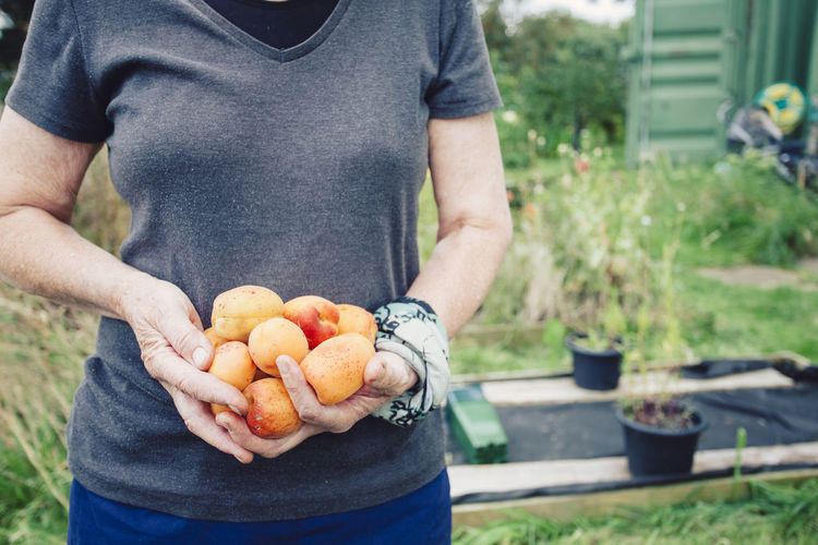 Midsection of man holding apricots in yard
