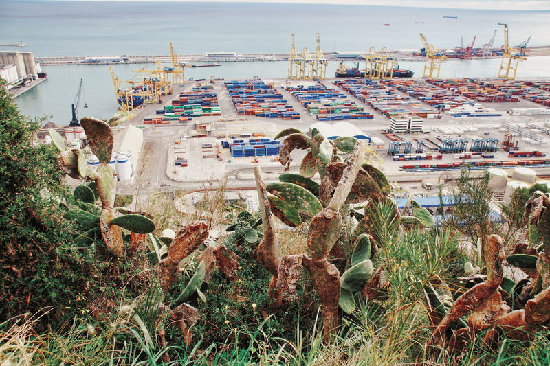High angle view of commercial dock with mediterrean plants in foreground, barcelona 