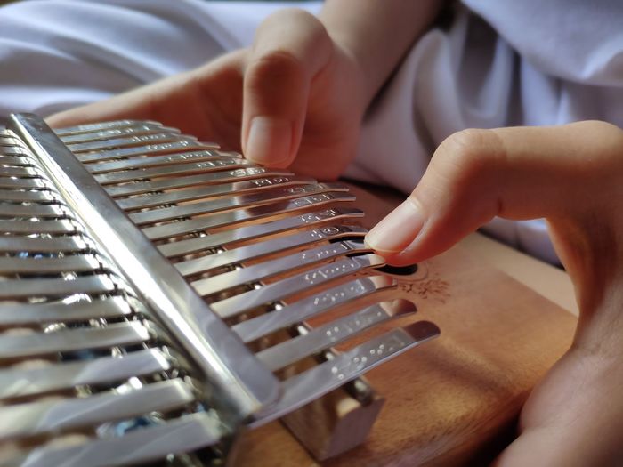 Midsection of person playing kalimba