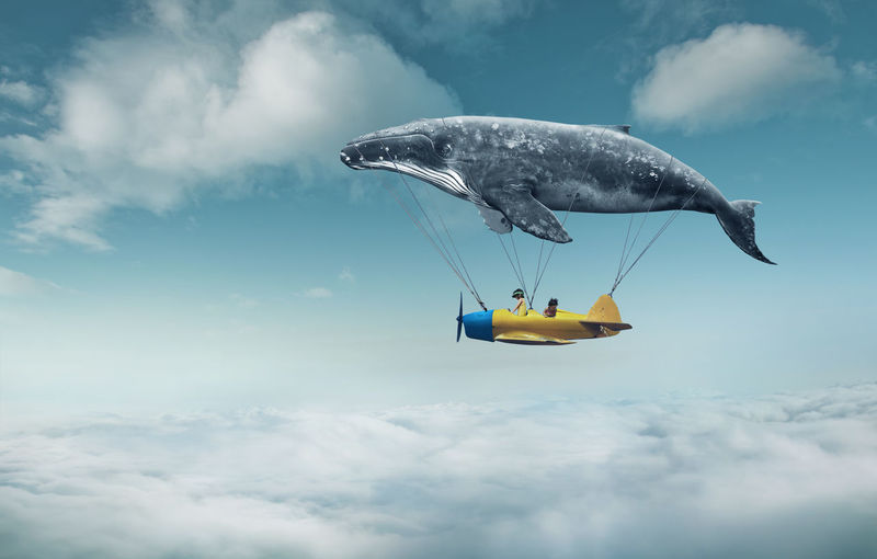 Digital composite image of siblings riding on airplane with whale in cloudy sky
