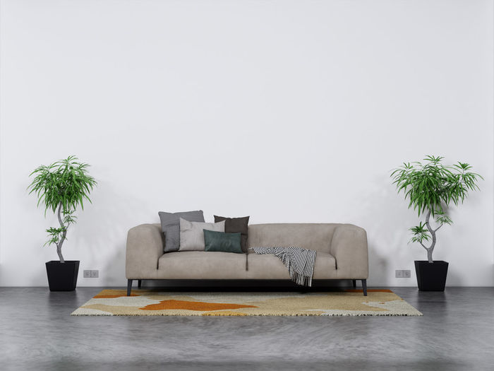 3d rendering of living room with grey sofa, carpet, plants next to white plaster wall
