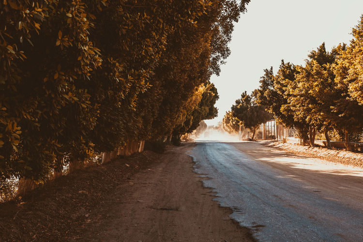 Road amidst trees against sky