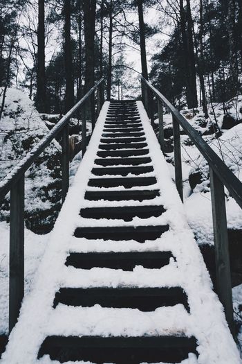 Snow covered steps in forest