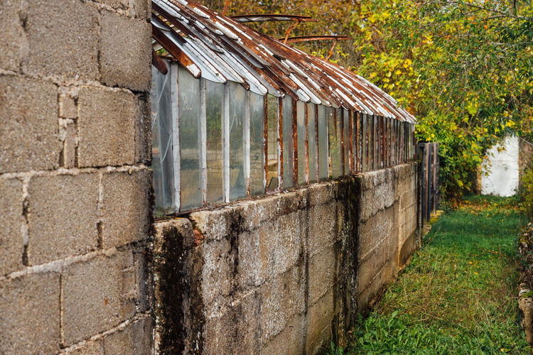 wall