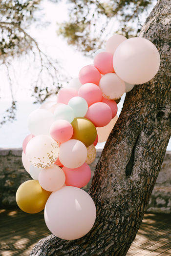 Close-up of multi colored balloons on tree