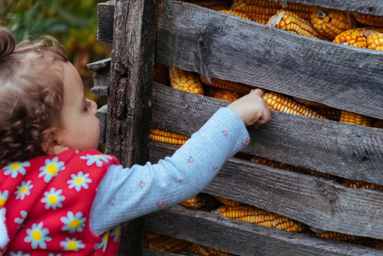 Closeup view of little girl on corn granary